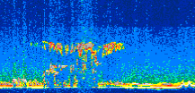 /calipso-imagery/data/BROWSE/production/V5-00/2013-12-09/2013-12-09_08-47-09_V5.00_3_thmb.png image missing