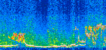 /calipso-imagery/data/BROWSE/production/V5-00/2013-12-09/2013-12-09_12-04-54_V5.00_2_thmb.png image missing