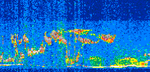 /calipso-imagery/data/BROWSE/production/V5-00/2013-12-09/2013-12-09_12-04-54_V5.00_3_thmb.png image missing