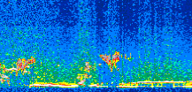 /calipso-imagery/data/BROWSE/production/V5-00/2013-12-09/2013-12-09_13-43-49_V5.00_2_thmb.png image missing