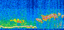 /calipso-imagery/data/BROWSE/production/V5-00/2013-12-09/2013-12-09_17-01-35_V5.00_2_thmb.png image missing