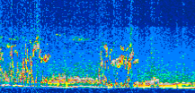 /calipso-imagery/data/BROWSE/production/V5-00/2013-12-09/2013-12-09_17-01-35_V5.00_3_thmb.png image missing