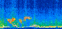 /calipso-imagery/data/BROWSE/production/V5-00/2013-12-09/2013-12-09_18-40-25_V5.00_2_thmb.png image missing