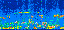 /calipso-imagery/data/BROWSE/production/V5-00/2013-12-09/2013-12-09_18-40-25_V5.00_3_thmb.png image missing