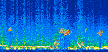 /calipso-imagery/data/BROWSE/production/V5-00/2013-12-09/2013-12-09_20-19-20_V5.00_3_thmb.png image missing