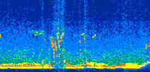 /calipso-imagery/data/BROWSE/production/V5-00/2014-01-16/2014-01-16_08-10-56_V5.00_3_thmb.png image missing