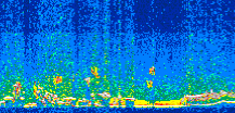 /calipso-imagery/data/BROWSE/production/V5-00/2014-01-16/2014-01-16_11-28-46_V5.00_2_thmb.png image missing