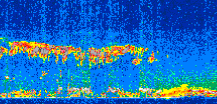 /calipso-imagery/data/BROWSE/production/V5-00/2014-01-17/2014-01-17_05-36-33_V5.00_3_thmb.png image missing