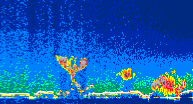 /calipso-imagery/data/BROWSE/production/V5-00/2014-01-17/2014-01-17_15-29-50_V5.00_4_thmb.png image missing