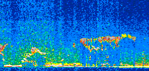 /calipso-imagery/data/BROWSE/production/V5-00/2014-01-17/2014-01-17_23-44-16_V5.00_2_thmb.png image missing