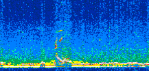 /calipso-imagery/data/BROWSE/production/V5-00/2014-01-18/2014-01-18_14-34-18_V5.00_3_thmb.png image missing