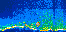 /calipso-imagery/data/BROWSE/production/V5-00/2014-01-18/2014-01-18_21-09-54_V5.00_1_thmb.png image missing