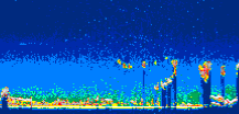 /calipso-imagery/data/BROWSE/production/V5-00/2014-01-19/2014-01-19_02-59-05_V5.00_3_thmb.png image missing