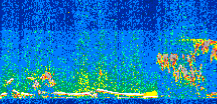 /calipso-imagery/data/BROWSE/production/V5-00/2014-01-19/2014-01-19_05-24-20_V5.00_2_thmb.png image missing
