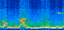 /calipso-imagery/data/BROWSE/production/V5-00/2014-01-19/2014-01-19_07-03-15_V5.00_2_thmb.png image missing