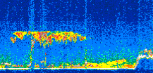 /calipso-imagery/data/BROWSE/production/V5-00/2014-01-19/2014-01-19_07-03-15_V5.00_3_thmb.png image missing