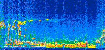 /calipso-imagery/data/BROWSE/production/V5-00/2014-01-19/2014-01-19_16-56-31_V5.00_3_thmb.png image missing