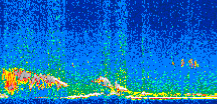 /calipso-imagery/data/BROWSE/production/V5-00/2014-01-19/2014-01-19_18-35-27_V5.00_2_thmb.png image missing