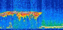 /calipso-imagery/data/BROWSE/production/V5-00/2014-01-20/2014-01-20_02-49-53_V5.00_3_thmb.png image missing
