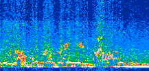 /calipso-imagery/data/BROWSE/production/V5-00/2014-01-20/2014-01-20_09-25-29_V5.00_2_thmb.png image missing