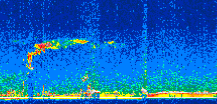 /calipso-imagery/data/BROWSE/production/V5-00/2014-01-22/2014-01-22_00-58-49_V5.00_3_thmb.png image missing