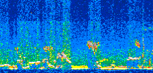 /calipso-imagery/data/BROWSE/production/V5-00/2014-01-22/2014-01-22_02-37-44_V5.00_2_thmb.png image missing