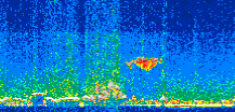 /calipso-imagery/data/BROWSE/production/V5-00/2014-01-22/2014-01-22_14-09-56_V5.00_2_thmb.png image missing
