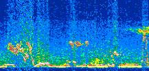 /calipso-imagery/data/BROWSE/production/V5-00/2014-01-23/2014-01-23_01-42-12_V5.00_2_thmb.png image missing