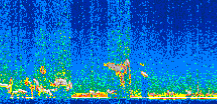 /calipso-imagery/data/BROWSE/production/V5-00/2014-01-23/2014-01-23_08-17-43_V5.00_2_thmb.png image missing