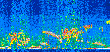 /calipso-imagery/data/BROWSE/production/V5-00/2014-01-24/2014-01-24_04-04-26_V5.00_2_thmb.png image missing