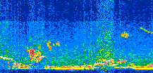 /calipso-imagery/data/BROWSE/production/V5-00/2014-01-24/2014-01-24_05-43-16_V5.00_2_thmb.png image missing