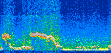 /calipso-imagery/data/BROWSE/production/V5-00/2014-01-24/2014-01-24_07-22-11_V5.00_2_thmb.png image missing