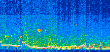 /calipso-imagery/data/BROWSE/production/V5-00/2014-01-24/2014-01-24_09-01-06_V5.00_2_thmb.png image missing