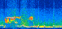 /calipso-imagery/data/BROWSE/production/V5-00/2014-01-24/2014-01-24_13-57-47_V5.00_2_thmb.png image missing