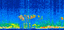 /calipso-imagery/data/BROWSE/production/V5-00/2014-01-24/2014-01-24_13-57-47_V5.00_3_thmb.png image missing