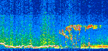 /calipso-imagery/data/BROWSE/production/V5-00/2014-01-24/2014-01-24_22-12-13_V5.00_2_thmb.png image missing