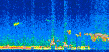 /calipso-imagery/data/BROWSE/production/V5-00/2014-01-24/2014-01-24_22-12-13_V5.00_3_thmb.png image missing