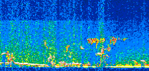 /calipso-imagery/data/BROWSE/production/V5-00/2014-01-25/2014-01-25_21-16-41_V5.00_2_thmb.png image missing