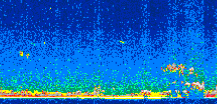 /calipso-imagery/data/BROWSE/production/V5-00/2014-01-25/2014-01-25_22-55-31_V5.00_3_thmb.png image missing