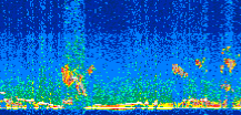 /calipso-imagery/data/BROWSE/production/V5-00/2014-01-31/2014-01-31_09-07-49_V5.00_2_thmb.png image missing