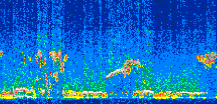 /calipso-imagery/data/BROWSE/production/V5-00/2014-01-31/2014-01-31_15-43-25_V5.00_3_thmb.png image missing