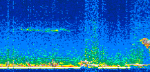 /calipso-imagery/data/BROWSE/production/V5-00/2014-01-31/2014-01-31_19-01-10_V5.00_3_thmb.png image missing