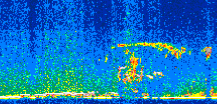 /calipso-imagery/data/BROWSE/production/V5-00/2014-01-31/2014-01-31_23-57-51_V5.00_2_thmb.png image missing