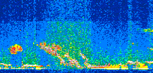 /calipso-imagery/data/BROWSE/production/V5-00/2014-02-01/2014-02-01_01-36-46_V5.00_2_thmb.png image missing