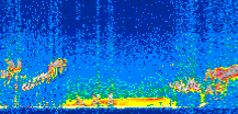 /calipso-imagery/data/BROWSE/production/V5-00/2014-02-01/2014-02-01_08-12-17_V5.00_3_thmb.png image missing