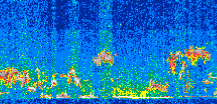 /calipso-imagery/data/BROWSE/production/V5-00/2014-02-07/2014-02-07_17-29-03_V5.00_2_thmb.png image missing