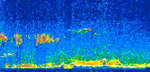 /calipso-imagery/data/BROWSE/production/V5-00/2014-02-08/2014-02-08_09-57-55_V5.00_3_thmb.png image missing
