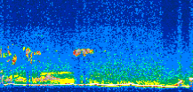/calipso-imagery/data/BROWSE/production/V5-00/2014-02-08/2014-02-08_11-36-50_V5.00_3_thmb.png image missing