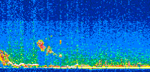 /calipso-imagery/data/BROWSE/production/V5-00/2014-02-08/2014-02-08_14-54-35_V5.00_2_thmb.png image missing