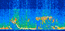 /calipso-imagery/data/BROWSE/production/V5-00/2014-02-08/2014-02-08_21-30-11_V5.00_2_thmb.png image missing